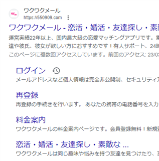 ワクワクメール 本気で探す者が検討に値するか否か